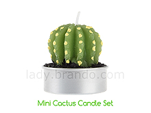 Mini Cactus Candle Set