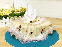 Lace Tissue Box Cover III