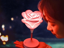 USB Rose Lamp