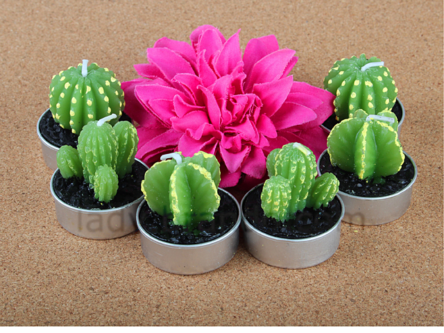 Mini Cactus Candle Set
