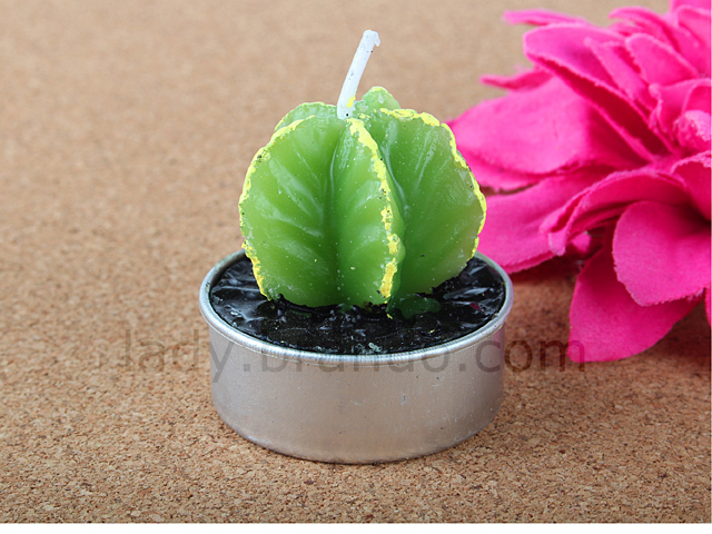 Mini Cactus Candle Set