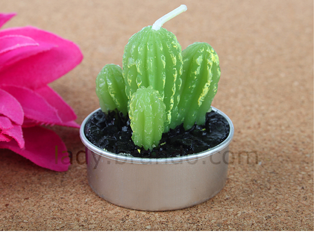 Mini Cactus Candle Set