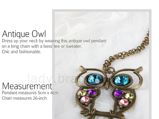 Antique Owl Long Necklace