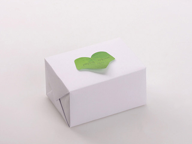 Leaf Sticky Memo Pads