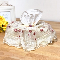 Lace Tissue Box Cover II